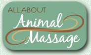 animal massage logo